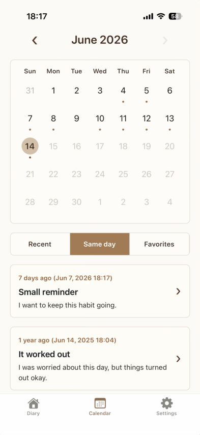 Replay Diary same day view showing past entries